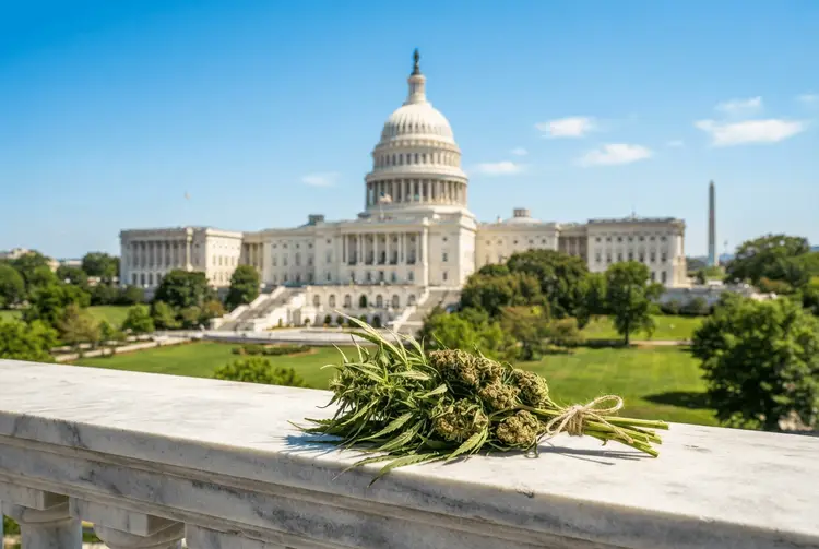 Hanf-THC: Kongress plant Rettung nach Midterms unter neuen Regeln