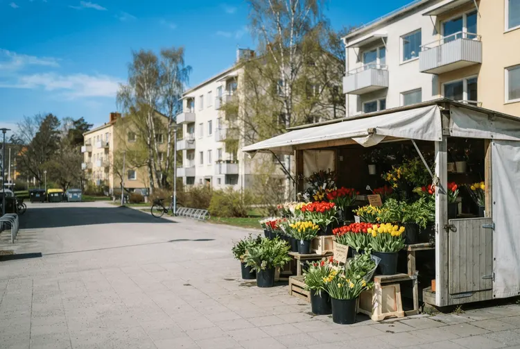 Jugendbanden im Drogenhandel prägen schwedische Wahlentscheidung