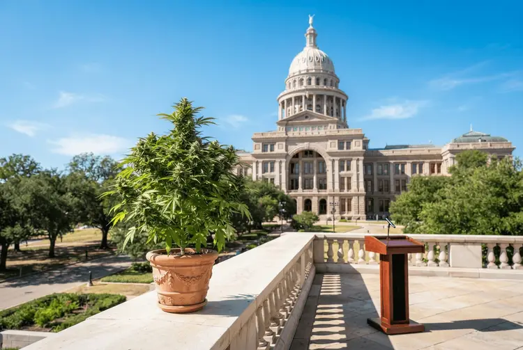 Talarico will mit Trump Marihuana nach Texas-Senatssieg legalisieren
