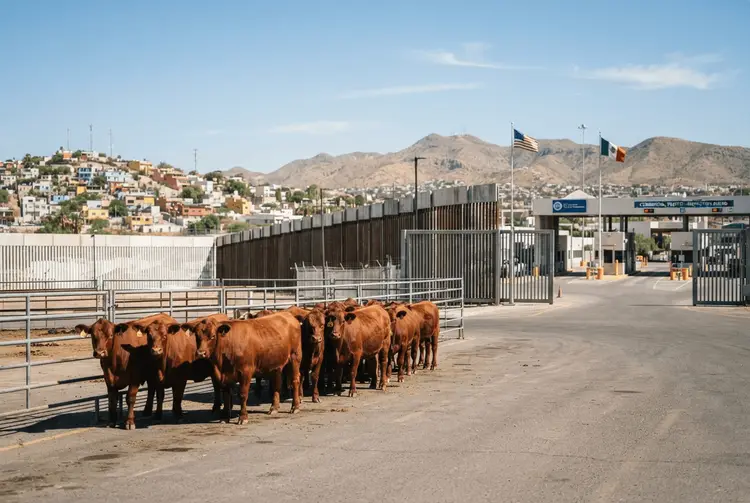 USDA öffnet zwei weitere Häfen für Rindfleisch aus Mexiko