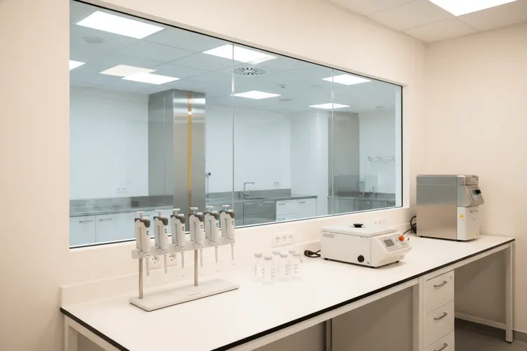 Zenas Biopharma Aktie steigt trotz schwachem Gesamtmarkt