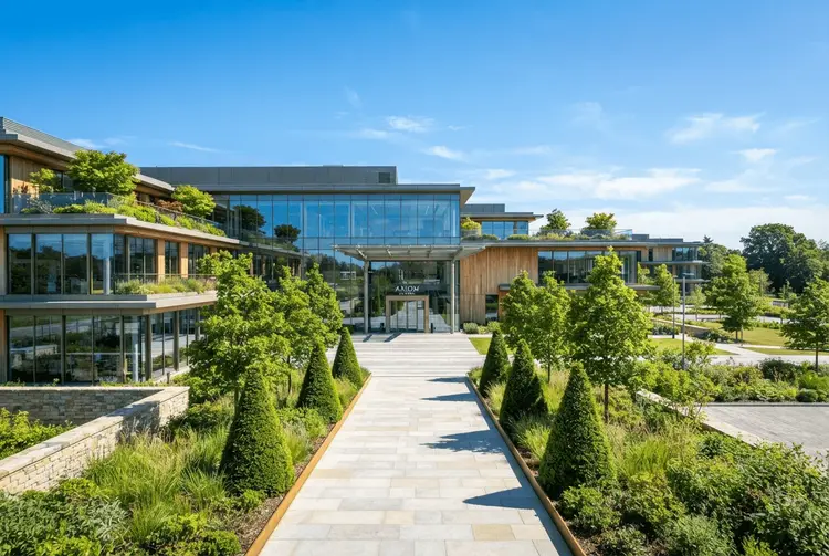 Vier Vanguard-ETFs, die sich für 20 Jahre lohnen