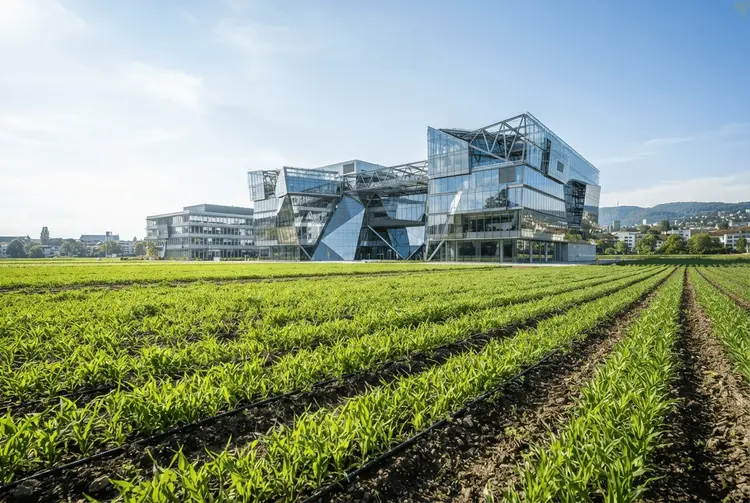 Syngenta Group verzeichnet rückläufigen Umsatz nach Hitzewelle