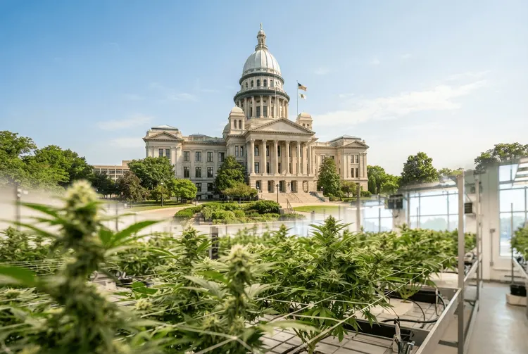 Illinois plant direkte Barzahlungen für Marihuana-Opfer