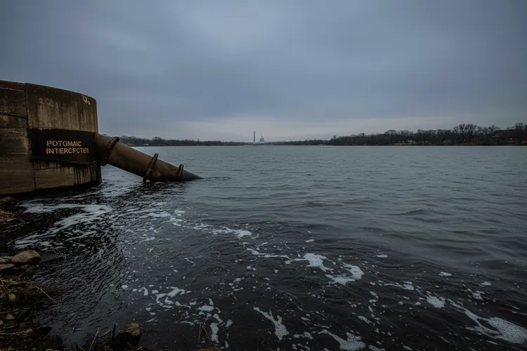 Trump fordert Demokraten zur Hilfe-Bitte bei Potomac-Abwasserkrise auf