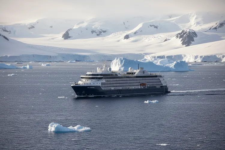 Hantavirus auf MV Hondius: Risiken bei Luxus-Expeditionskreuzfahrten