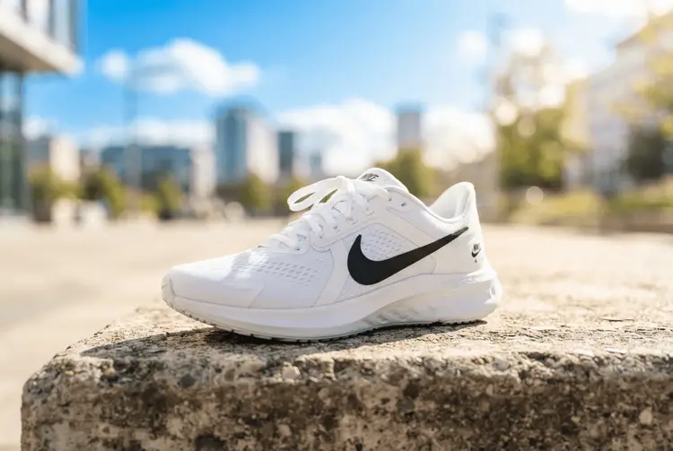 Nike-Dividende: 1.220 Aktien bringen 2.000 US-Dollar pro Jahr