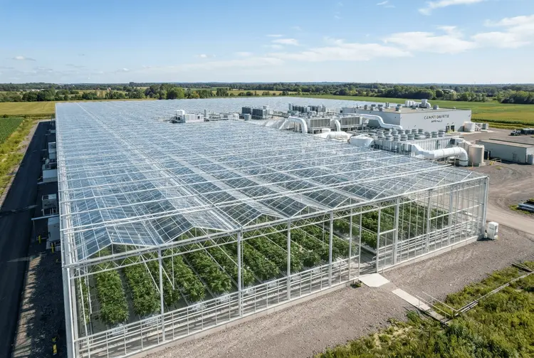 Canopy Growth: Überlebt das Cannabis-Unternehmen die nächsten fünf Jahre?