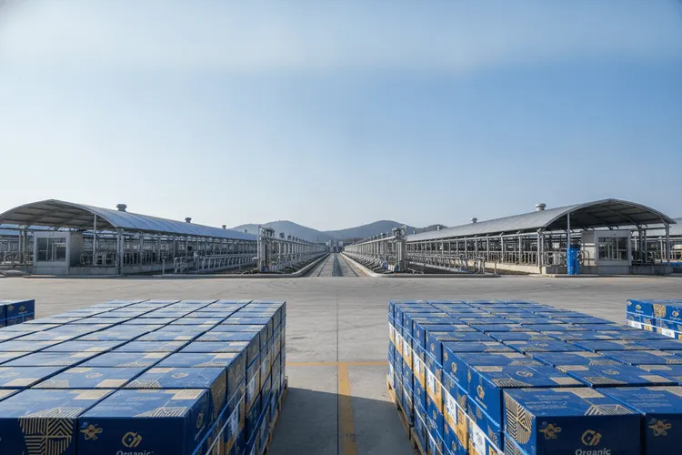 China Modern Dairy springt nach Übernahme von China Shengmu auf Zweimonatshoch