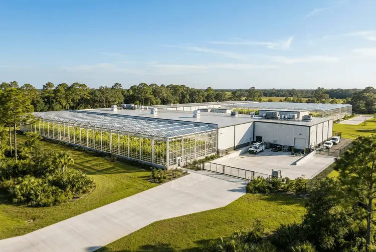 Vireo Growth kauft Cannabis-Anbaufläche in Florida für 21 Millionen Dollar