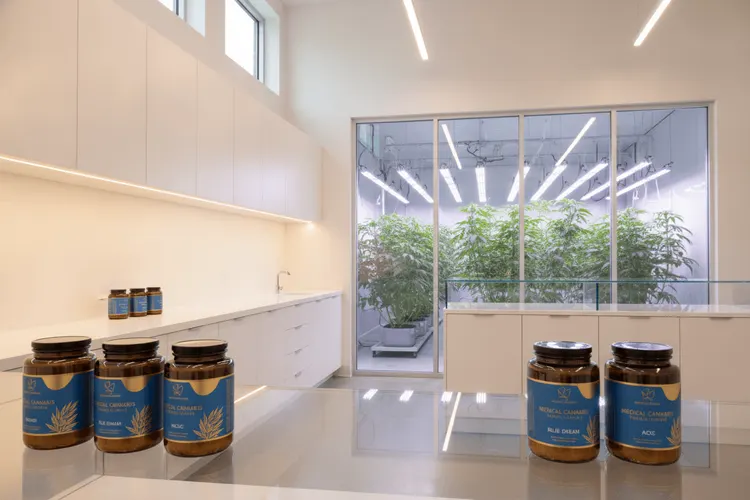 Vireo Growth expandiert nach Pennsylvania mit 20-Millionen-Dollar-Deal