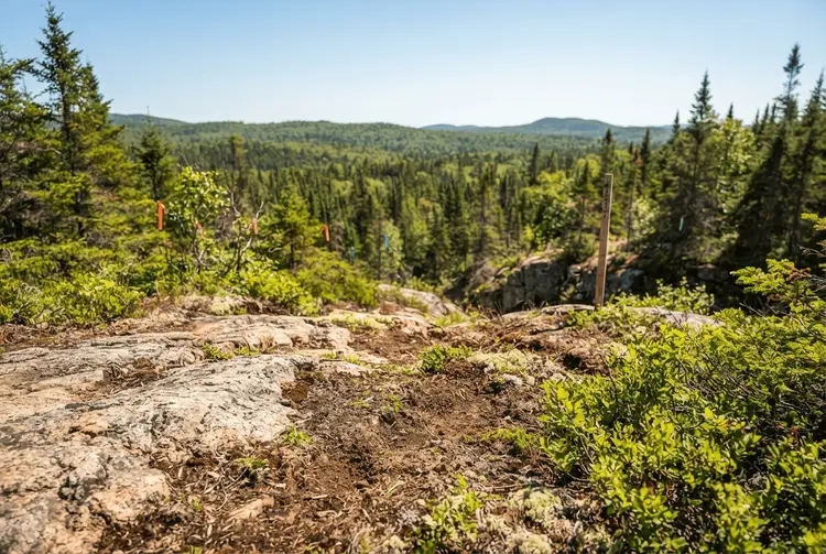 Quebec-Exploration im Fokus: Opus One, Renforth, TomaGold und Vior
