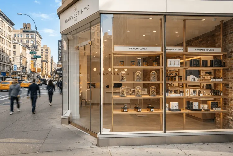 New Yorker Cannabisbranche: Hohe Löhne, aber kaum Gewinne