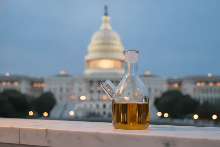 Cannabis-Firmen spenden 11,5 Millionen Dollar an Trump-nahes PAC