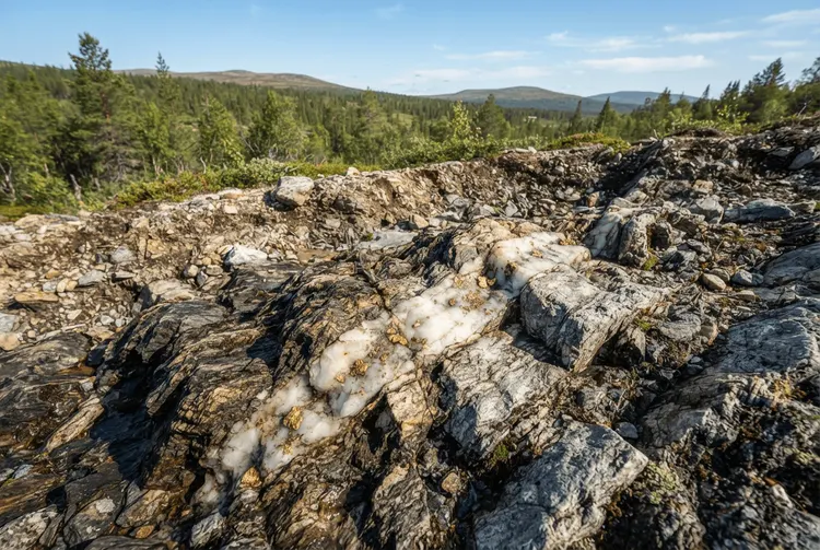 FireFox Gold trifft auf hochgradiges Gold mit sichtbarem Gold in Finnland