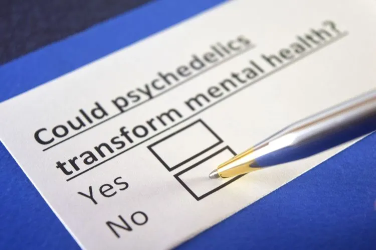 Die University of California investiert in weitere Studien zu Psychedelika