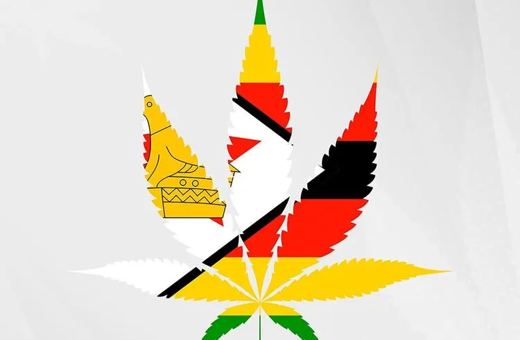 Simbabwe erlaubt zum ersten Mal den Verkauf von medizinischem Cannabis