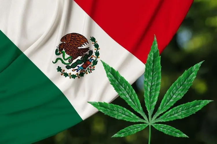 Mexiko veröffentlicht neue Cannabis-Regularien
