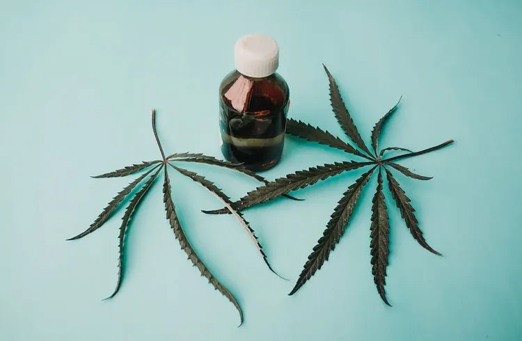 Juicyfields sperrt Nutzer von Cannabis-Investitionen aus