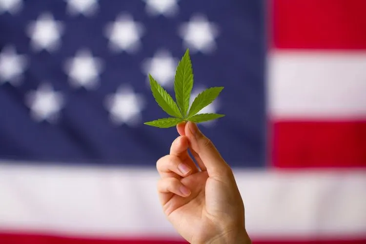 South Carolina Gouverneurs-Kandidat verspricht Legalisierung