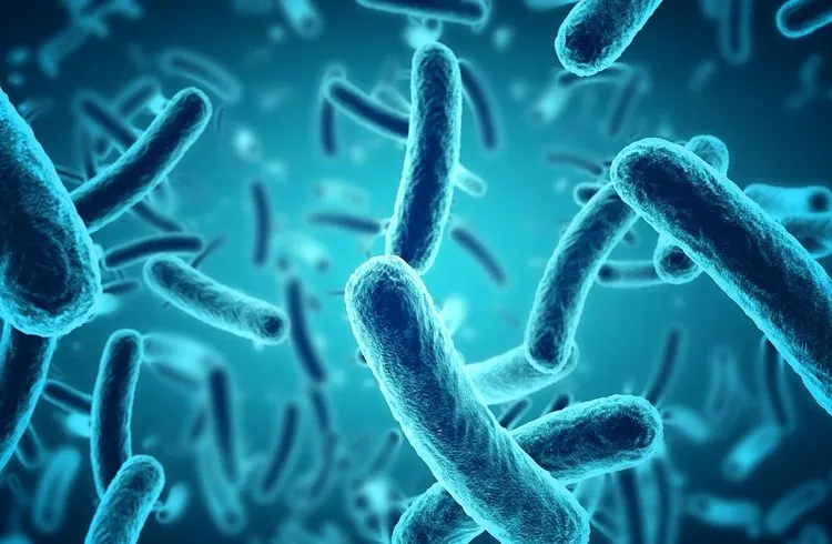 Start-up aus Cambridge will den Code des Lebens neu schreiben