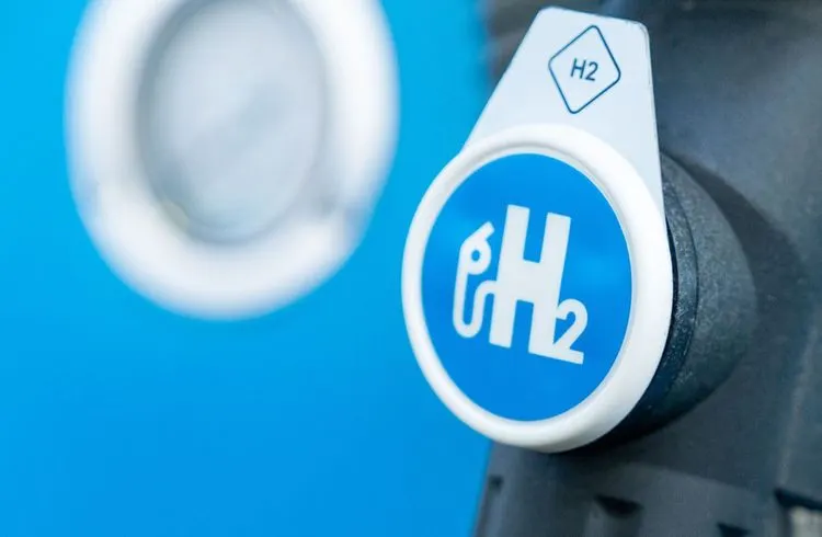 Unterstützung für Wasserstoff-Pipeline aus Nordafrika