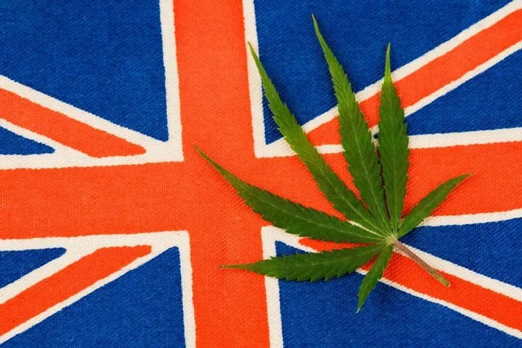 In England gibt es jetzt die Cannabis-Patientenkarte