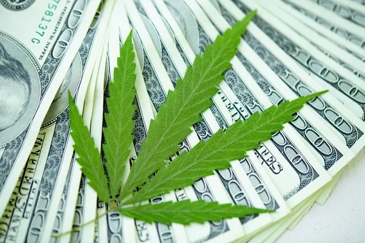 Steuereinnahmen aus Cannabisverkäufen gehen in die Milliarden