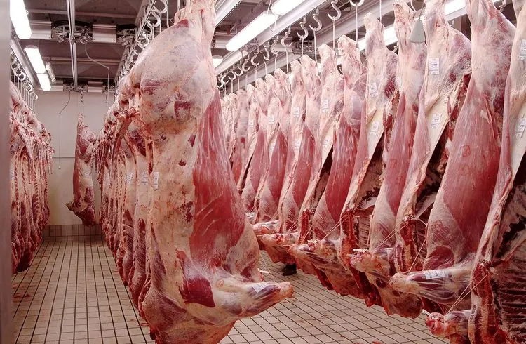 CO₂-Produktionsstopp im britischen Fleisch- und Getränkesektor sorgt für Unruhe