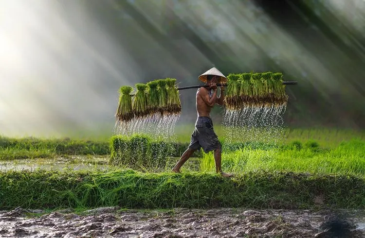 Apple Watch und MacBook sollen erstmals in Vietnam hergestellt werden