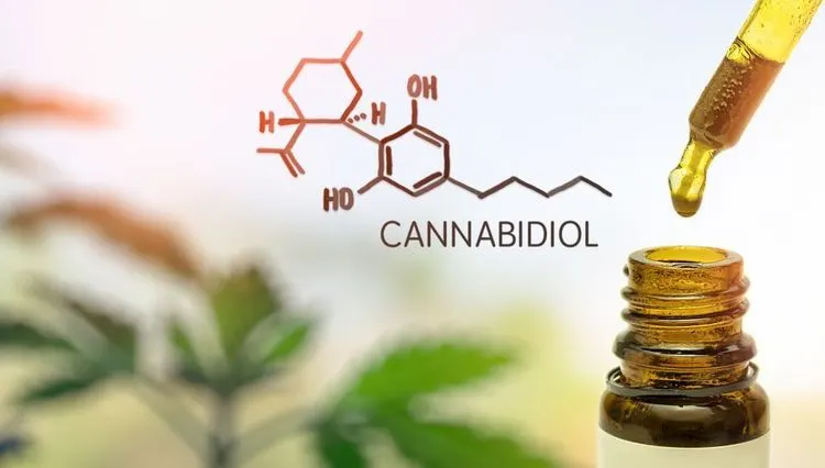 Cannabidiol bei Epilepsie nützlich