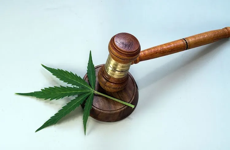 Legalisierung von Cannabis möglicherweise im Widerspruch zu EU-Vorschriften
