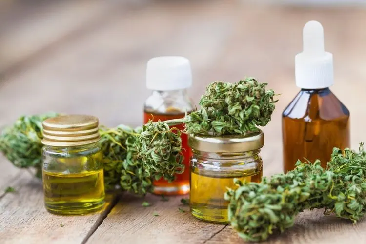 Debatte um Produktionsprozess: was gilt eigentlich als medizinisches Cannabis?