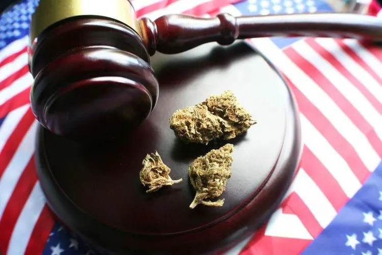 Mississippi läßt Klage gegen Cannabislegalisierung zu