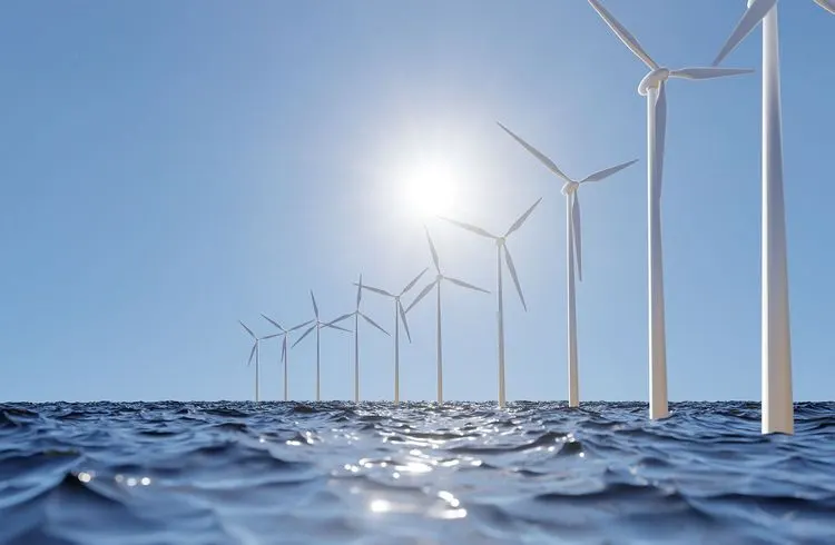 Versteigerung von Windparks: Unternehmen verzichten auf staatliche Förderung