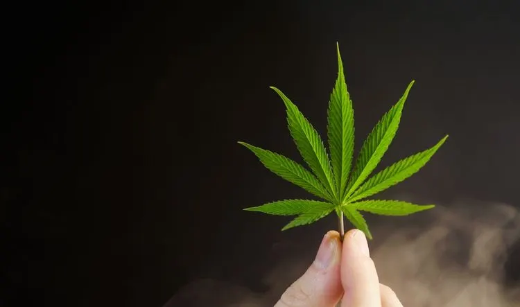 Cannabisbranche wartet ab – staatliche Richtlinien noch im Fluss