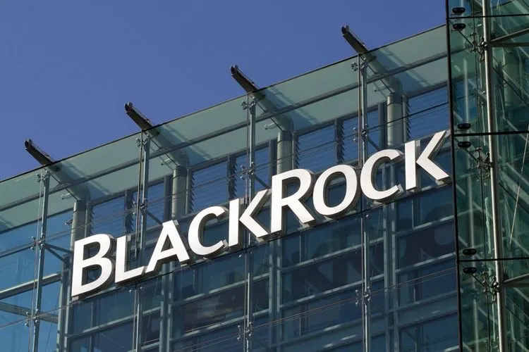 BlackRock: "Absolute Transparenz" bei Privatmarktgebühren erforderlich