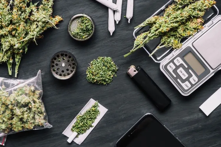 Wissenschaftler entwickeln Schnelltest für Marihuana-Konsum