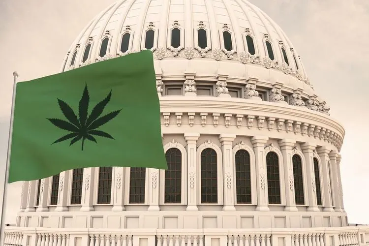 Kongress wird sich im Frühjahr mit Marihuana-Reform befassen