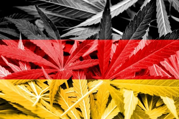 5 Dinge, die man über Deutschlands Vorstoß zur Legalisierung von Cannabis wissen sollte