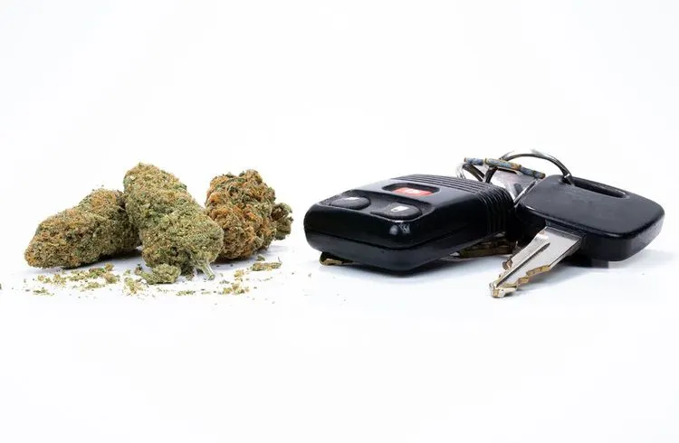 Cannabis am Steuer: Neue Regelungen in Sicht?