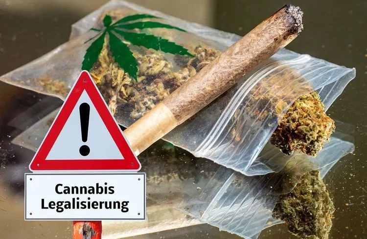 Cannabis-Legalisierung: Das müssen Sie jetzt wissen!