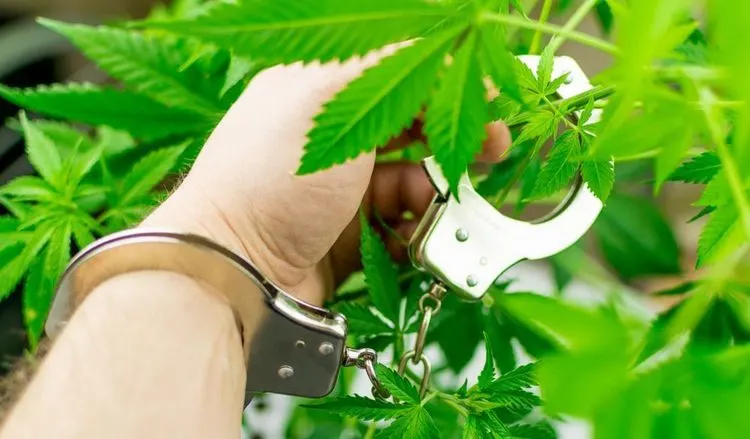 Pennsylvania hat während der Pandemie mehr als 20.000 Menschen wegen Cannabis verhaftet