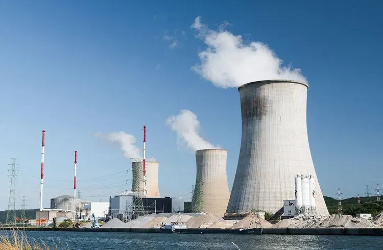 Quallen bringen Atomkraftwerk in Frankreich zum Stillstand