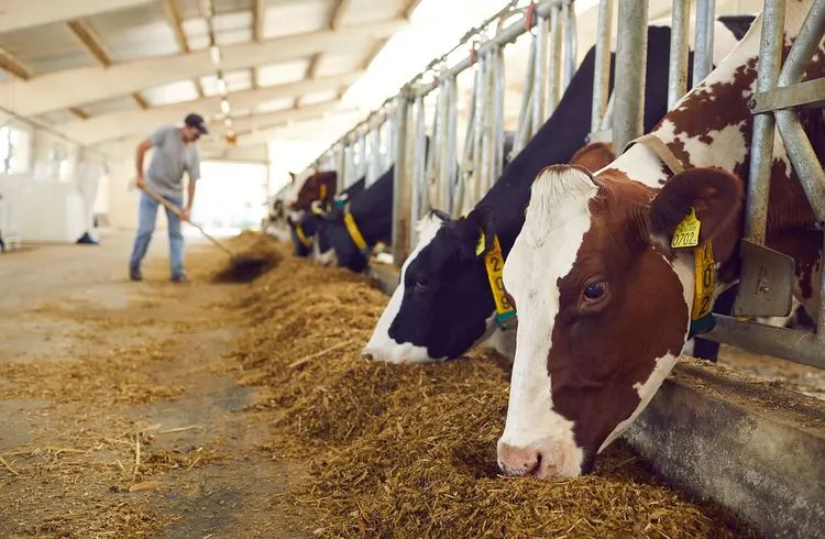 Rückgang der Landwirtschaftsbetriebe in Deutschland