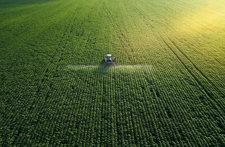 Agrar-Kürzungen 2024: Regierung reagiert auf Landwirte